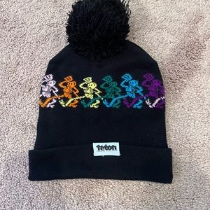 Teton Gravity Research Pom Beanie